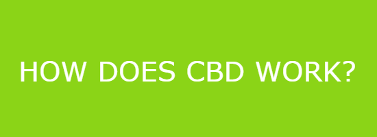 How Does Cbd Work?