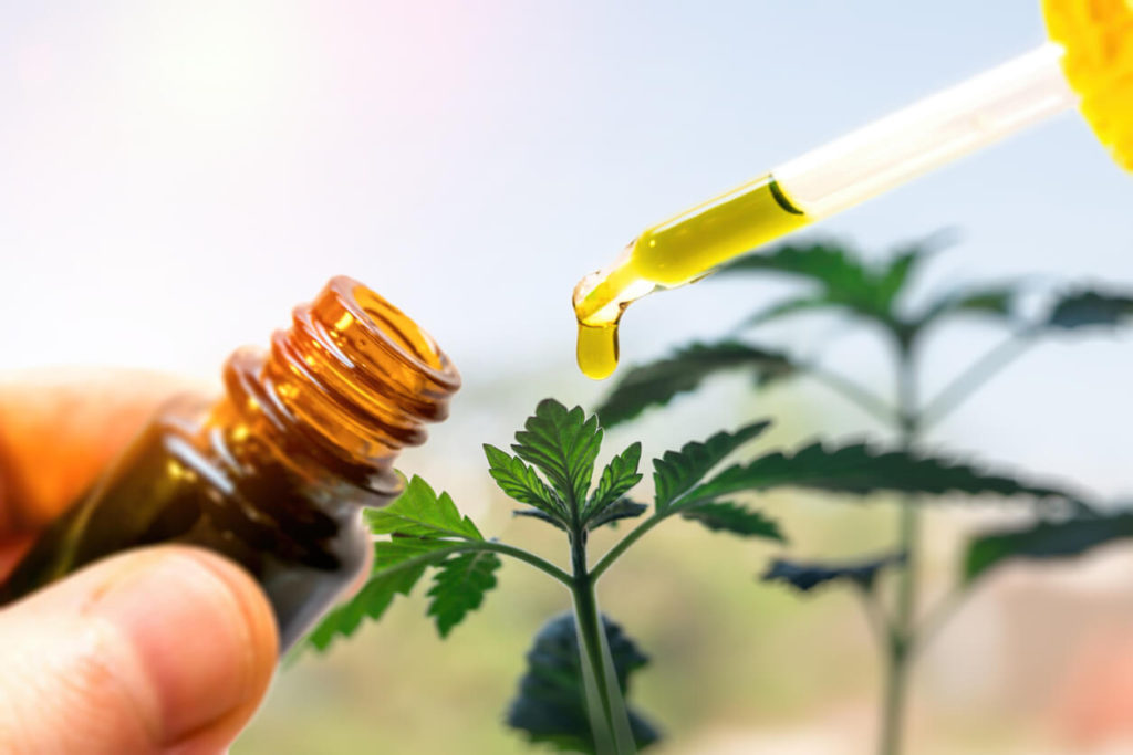What Is The Difference Between Hemp Oil And Cbd Oil