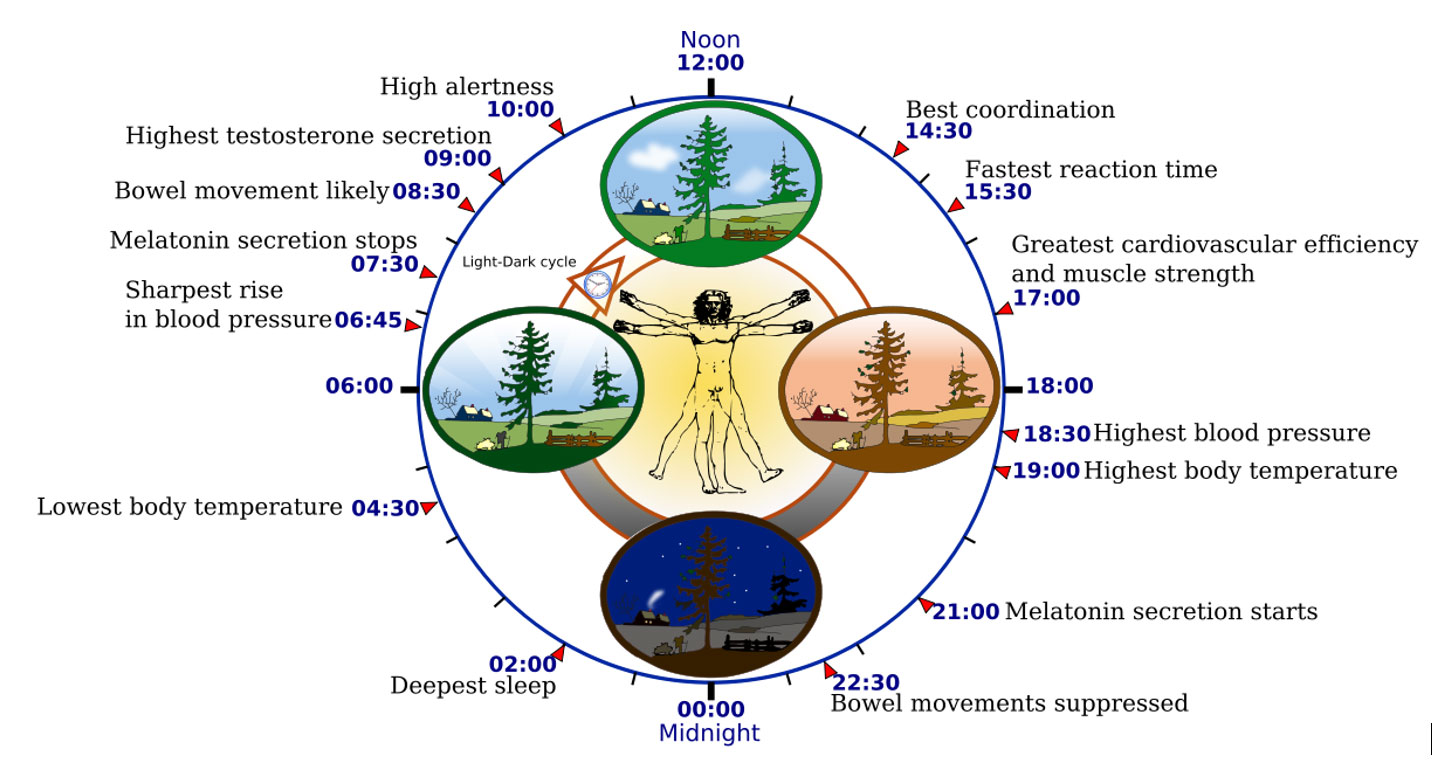 When to Take CBD Oil for Sleep