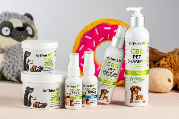 support pets holidays 4