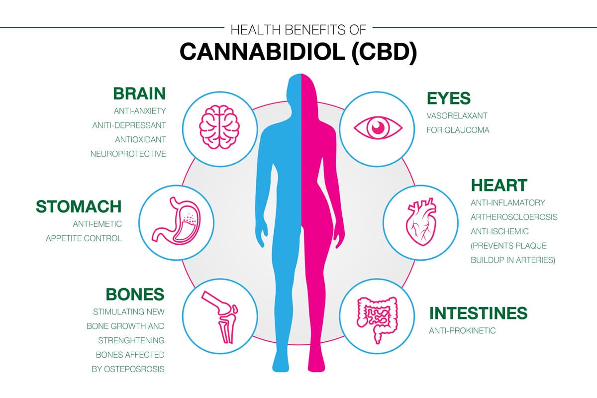 What Is Cannabidiol? And The Benefits Of Cannabis.